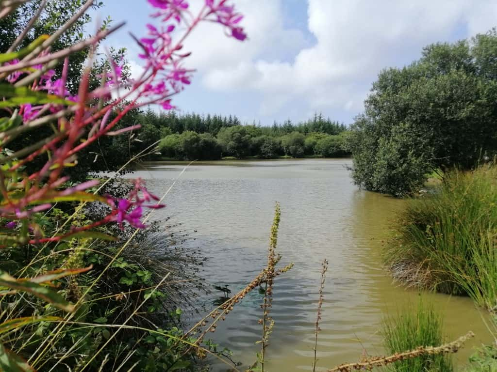 The fishing lakes just down the road