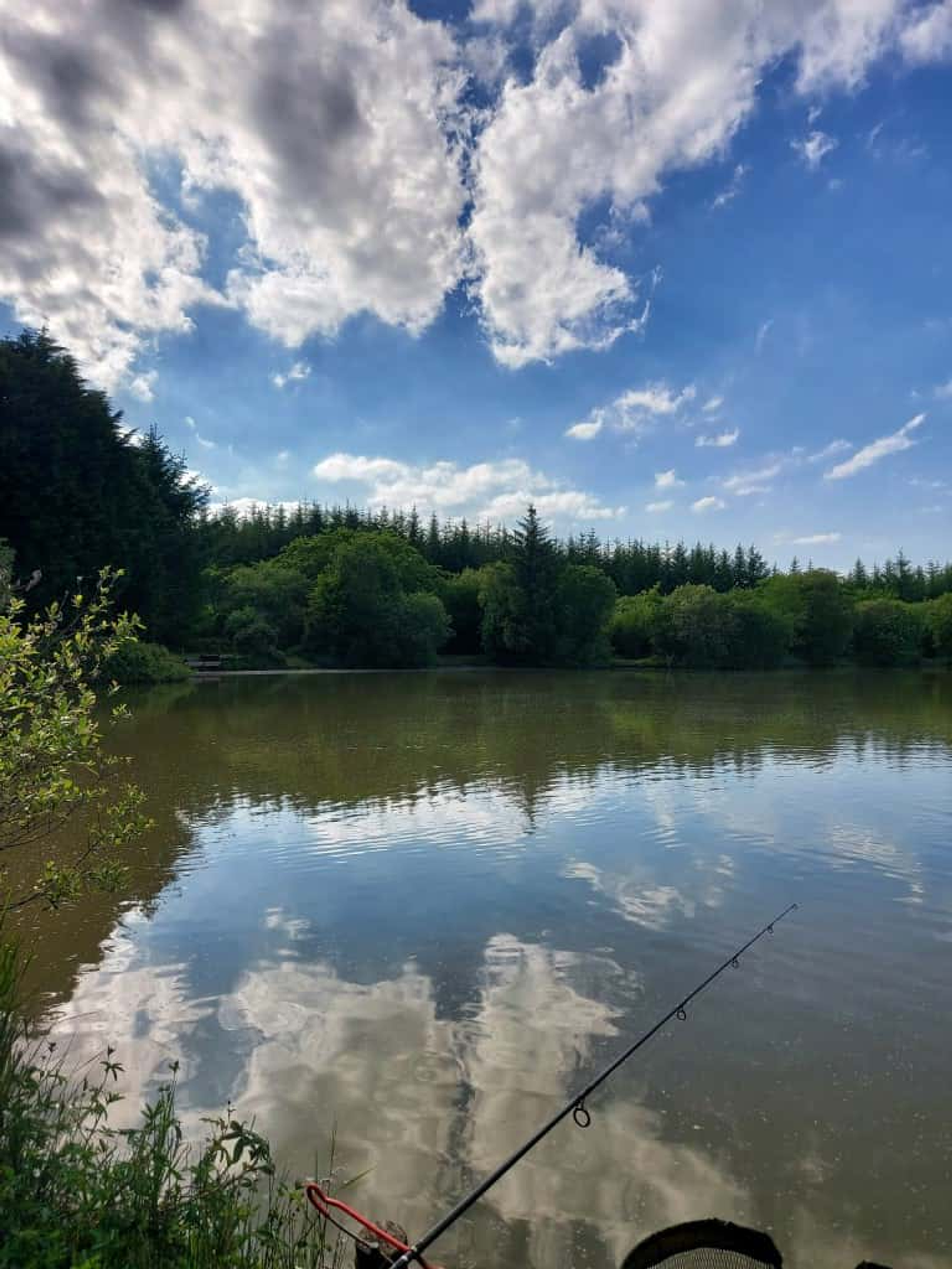 The fishing lakes just down the road